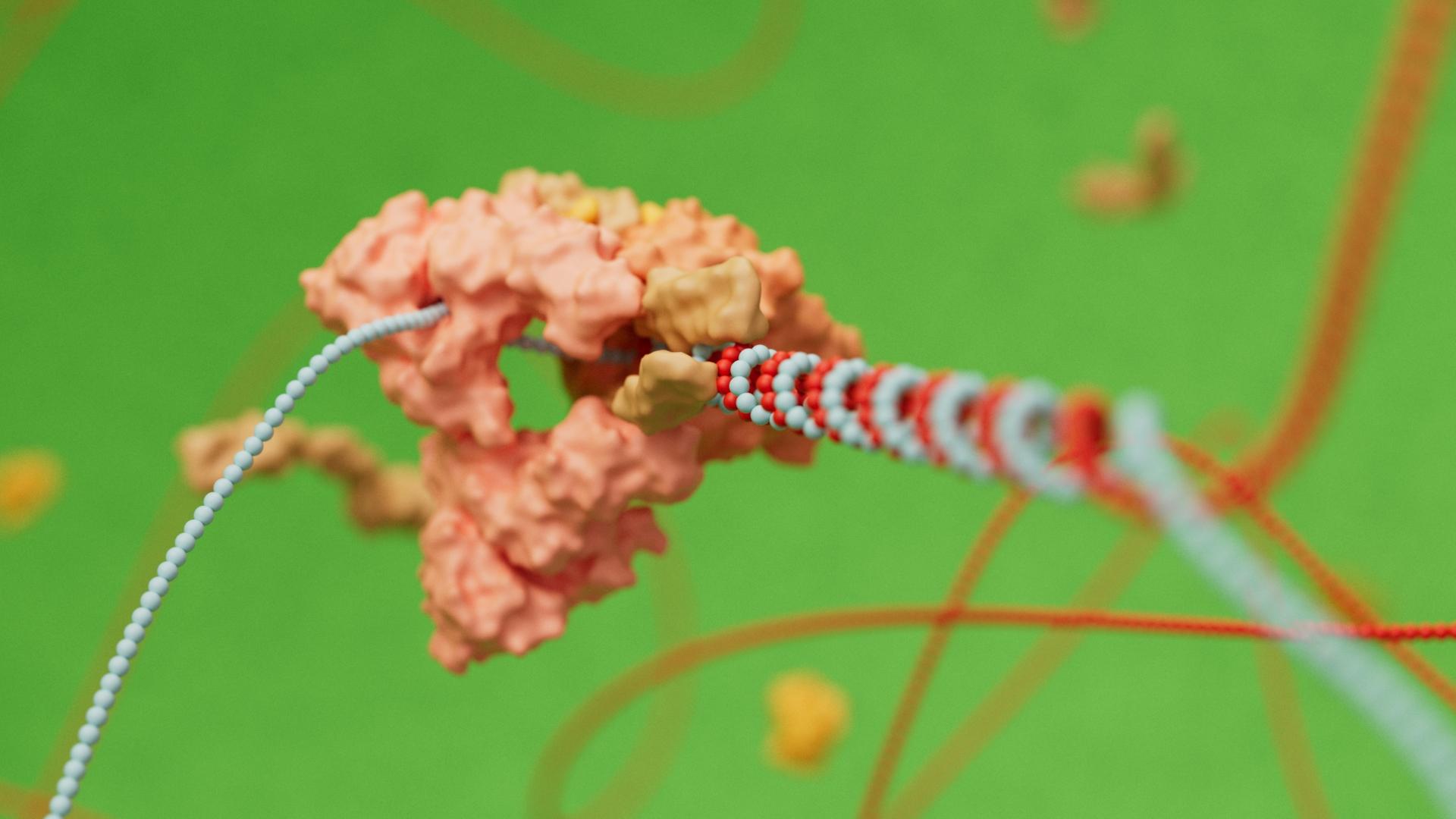 TITAN Health Awards Winner - The Lifecycle of SARS-CoV-2 7
