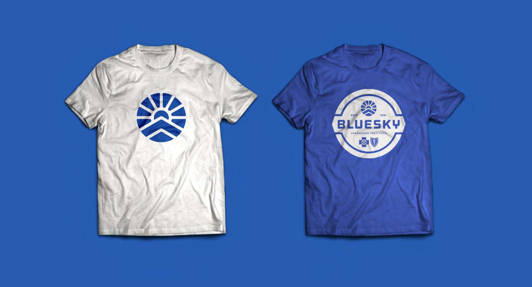 TITAN Health Awards Winner - BlueSky Logo 4