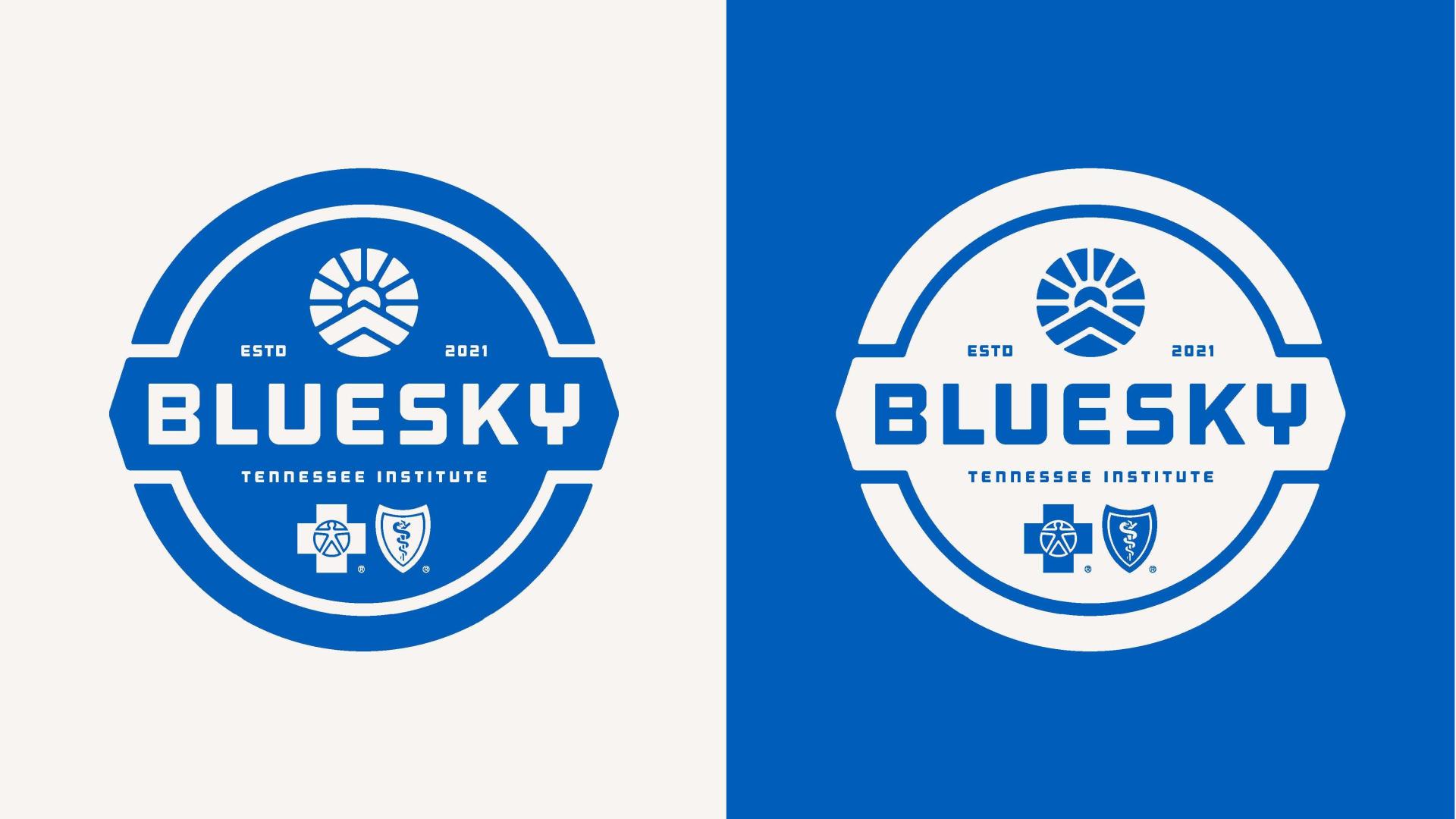 TITAN Health Awards Winner - BlueSky Logo 1