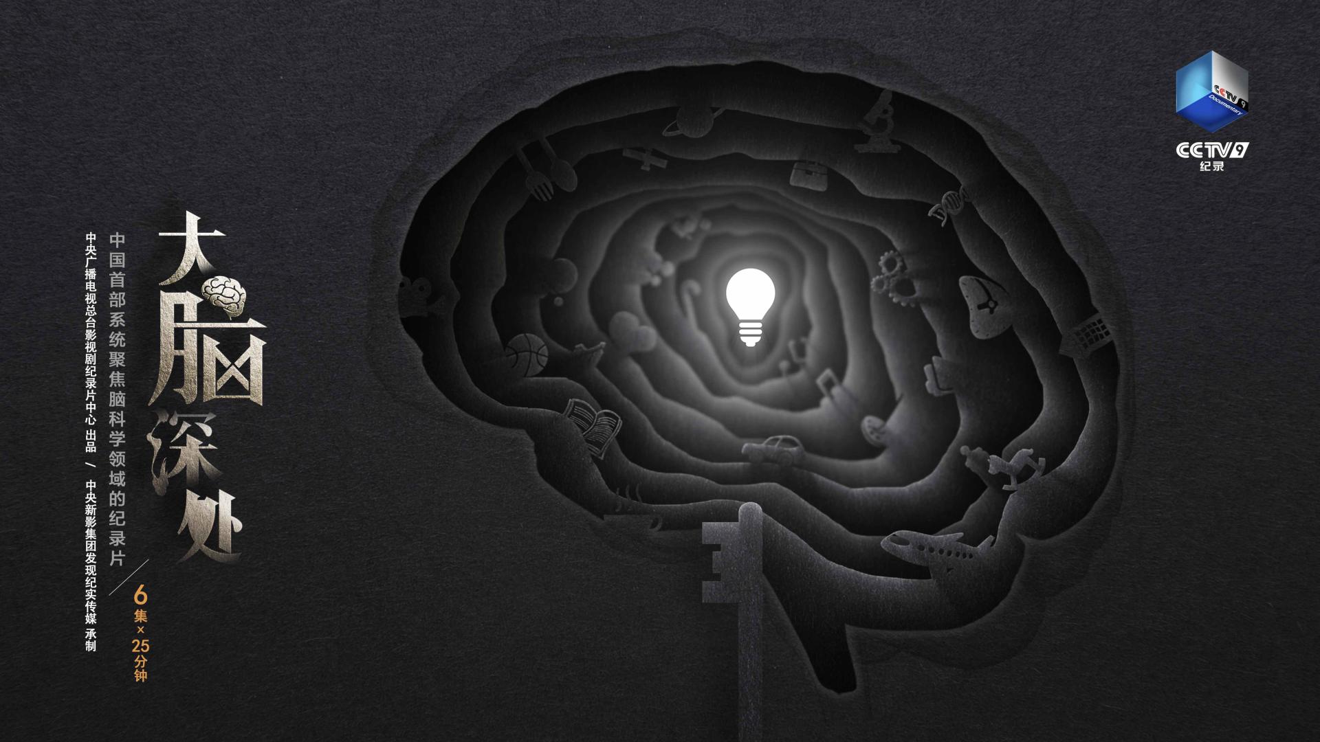 TITAN Health Awards Winner - Deep in the Brain - Brain Ladder 1