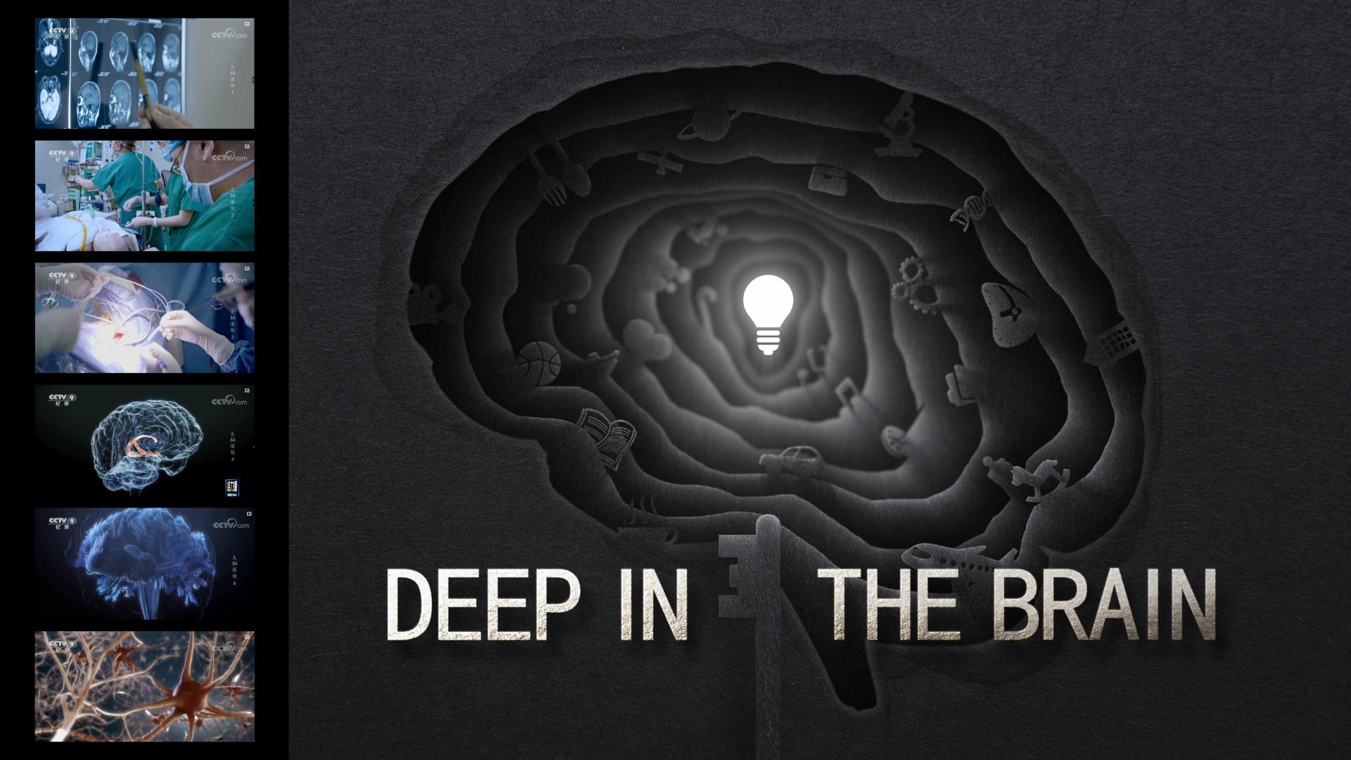 TITAN Health Awards Winner - Deep in the Brain - Brain Ladder 2