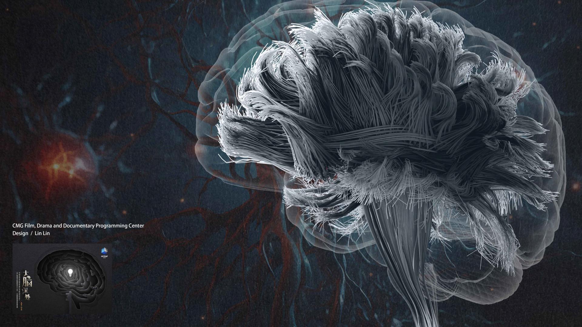 TITAN Health Awards Winner - Deep in the Brain - Brain Ladder 3