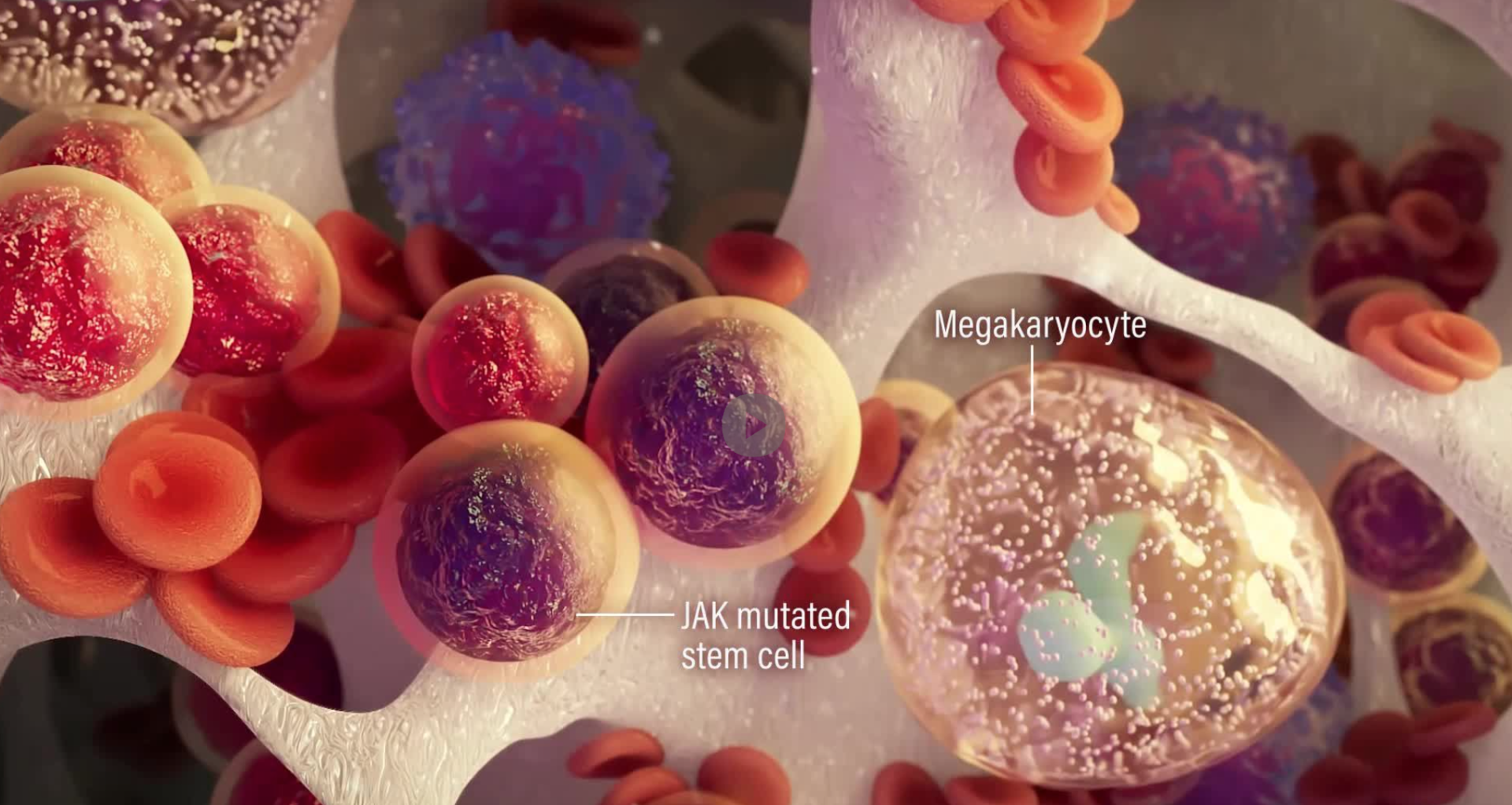 TITAN Health Awards Winner - Marrowverse Polycythemia Vera Mode of Action OLED Tunnel 1