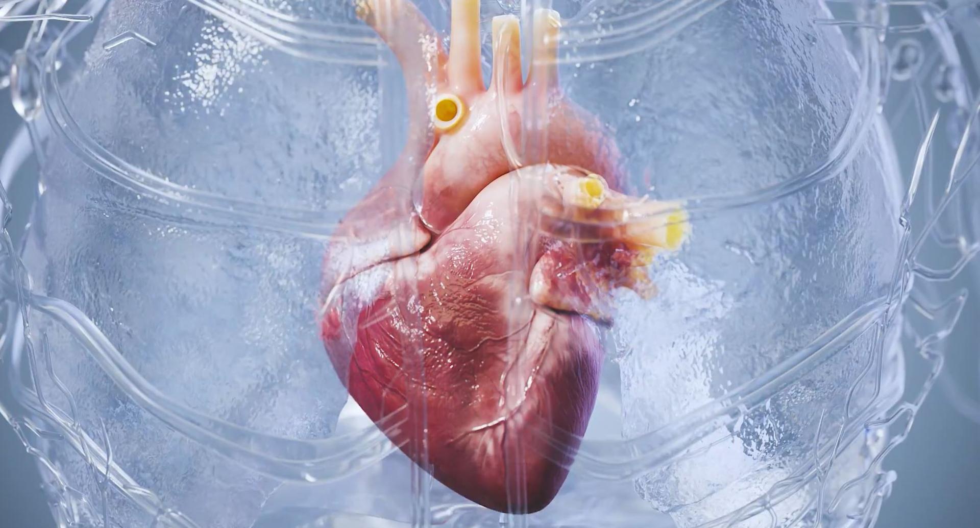 TITAN Health Awards Winner - The Invisible Machine 1
