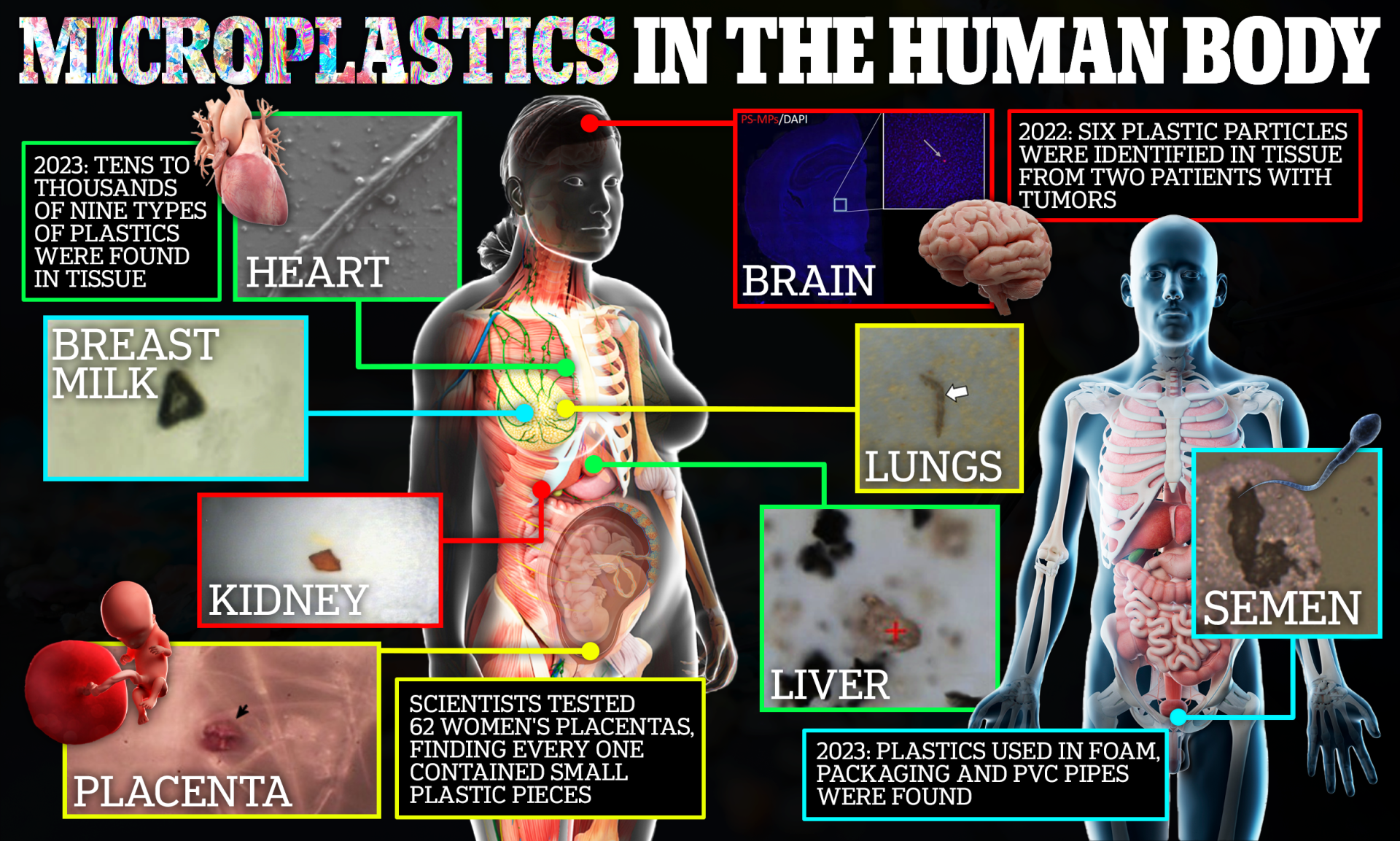 TITAN Health Awards Winner - Awareness of the microplastics 1