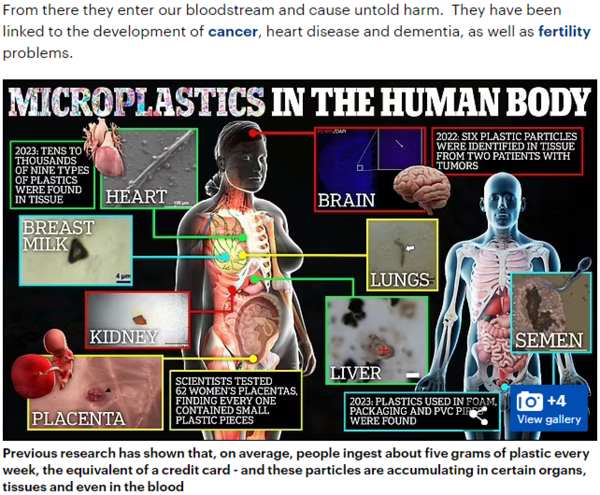 TITAN Health Awards Winner - Awareness of the microplastics 2