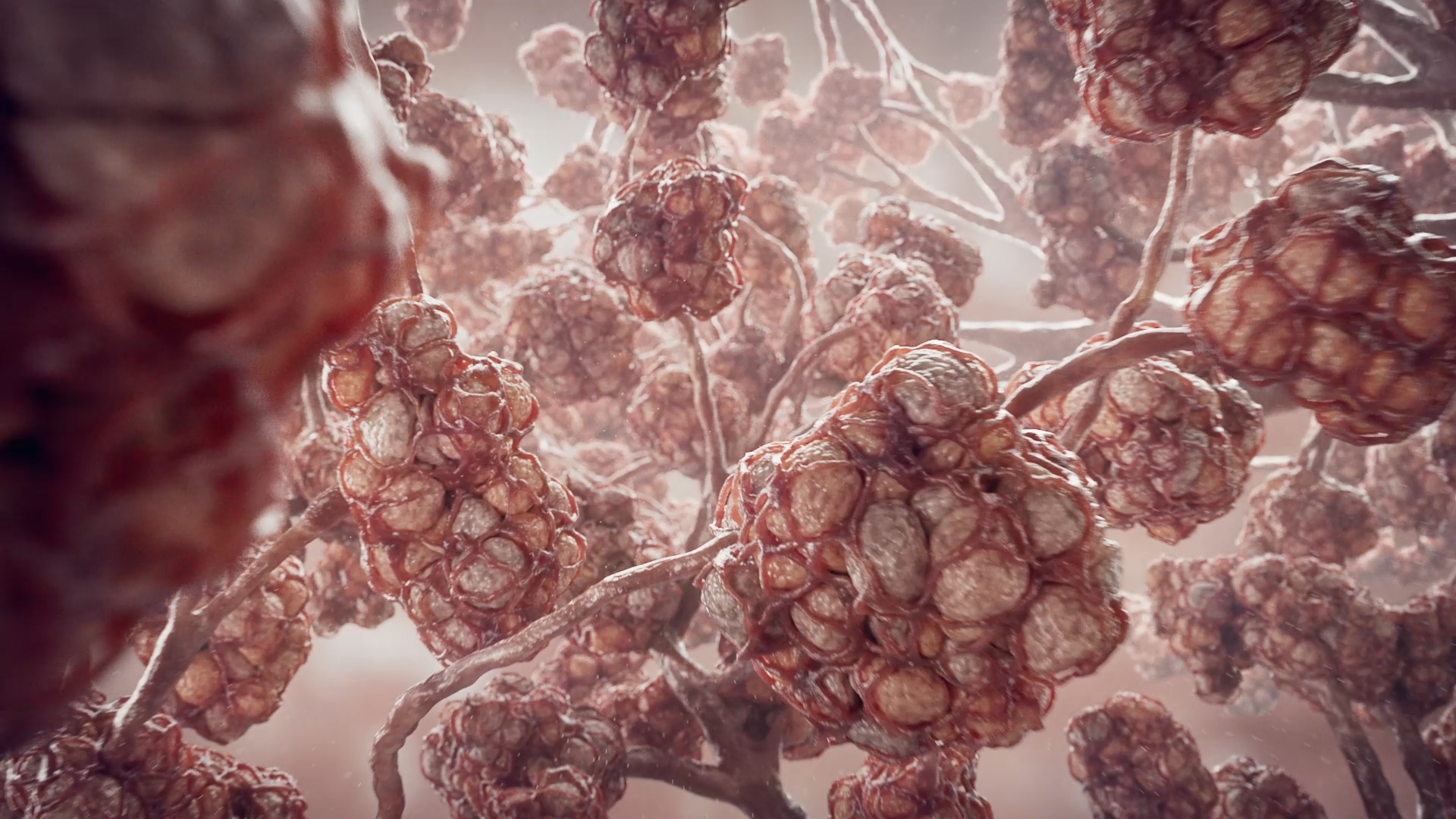 TITAN Health Awards Winner - Vantive ECCO2R Mechanism of Action 5