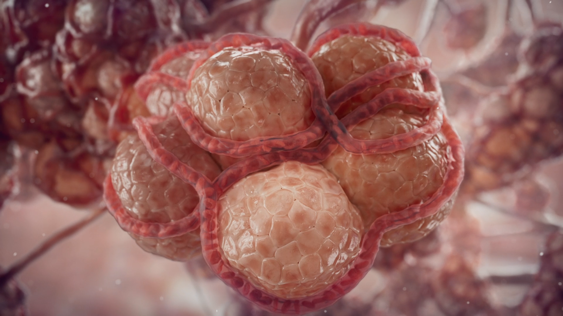 TITAN Health Awards Winner - Vantive ECCO2R Mechanism of Action 6