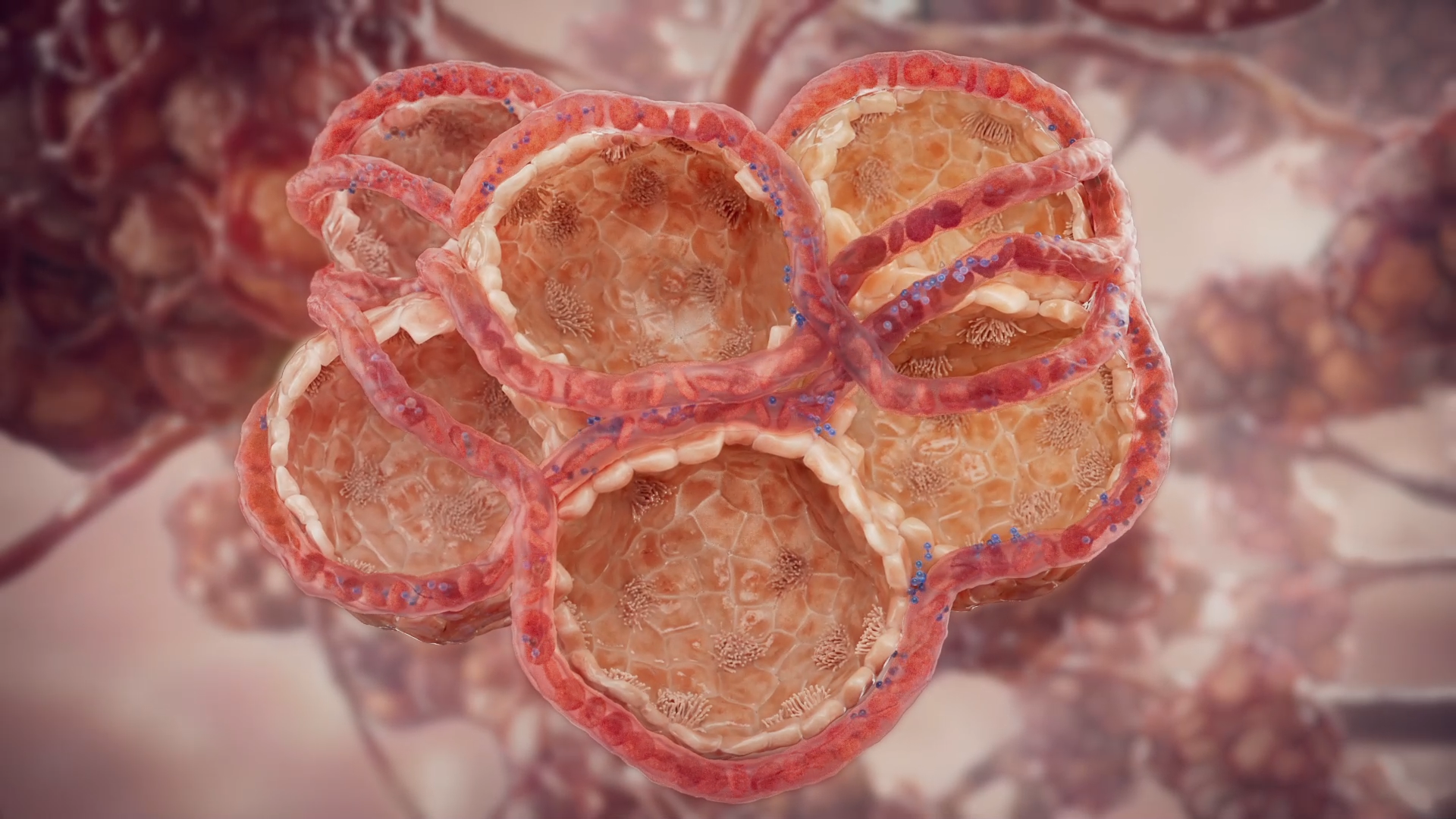 TITAN Health Awards Winner - Vantive ECCO2R Mechanism of Action 10