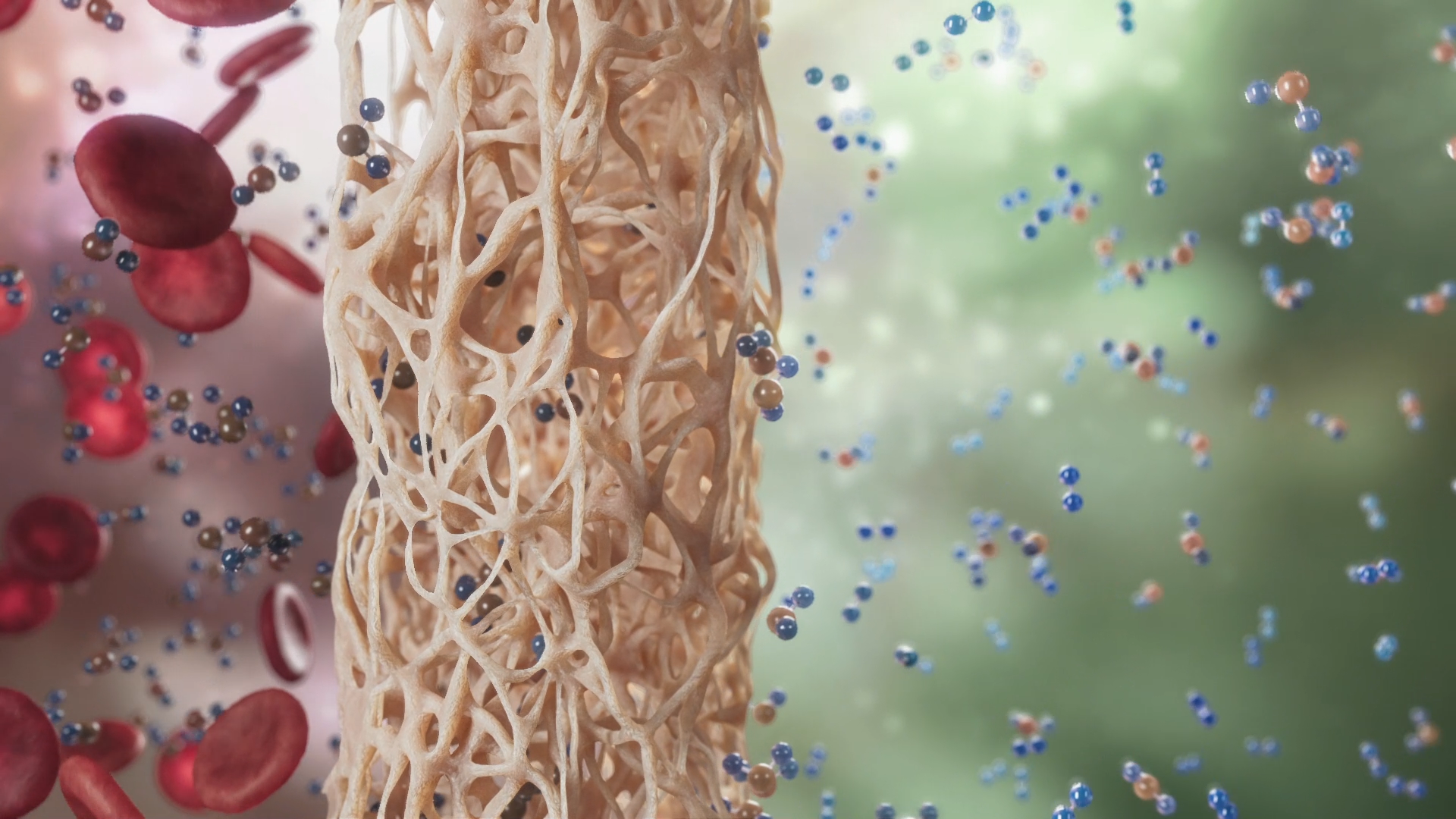 TITAN Health Awards Winner - Vantive ECCO2R Mechanism of Action 9