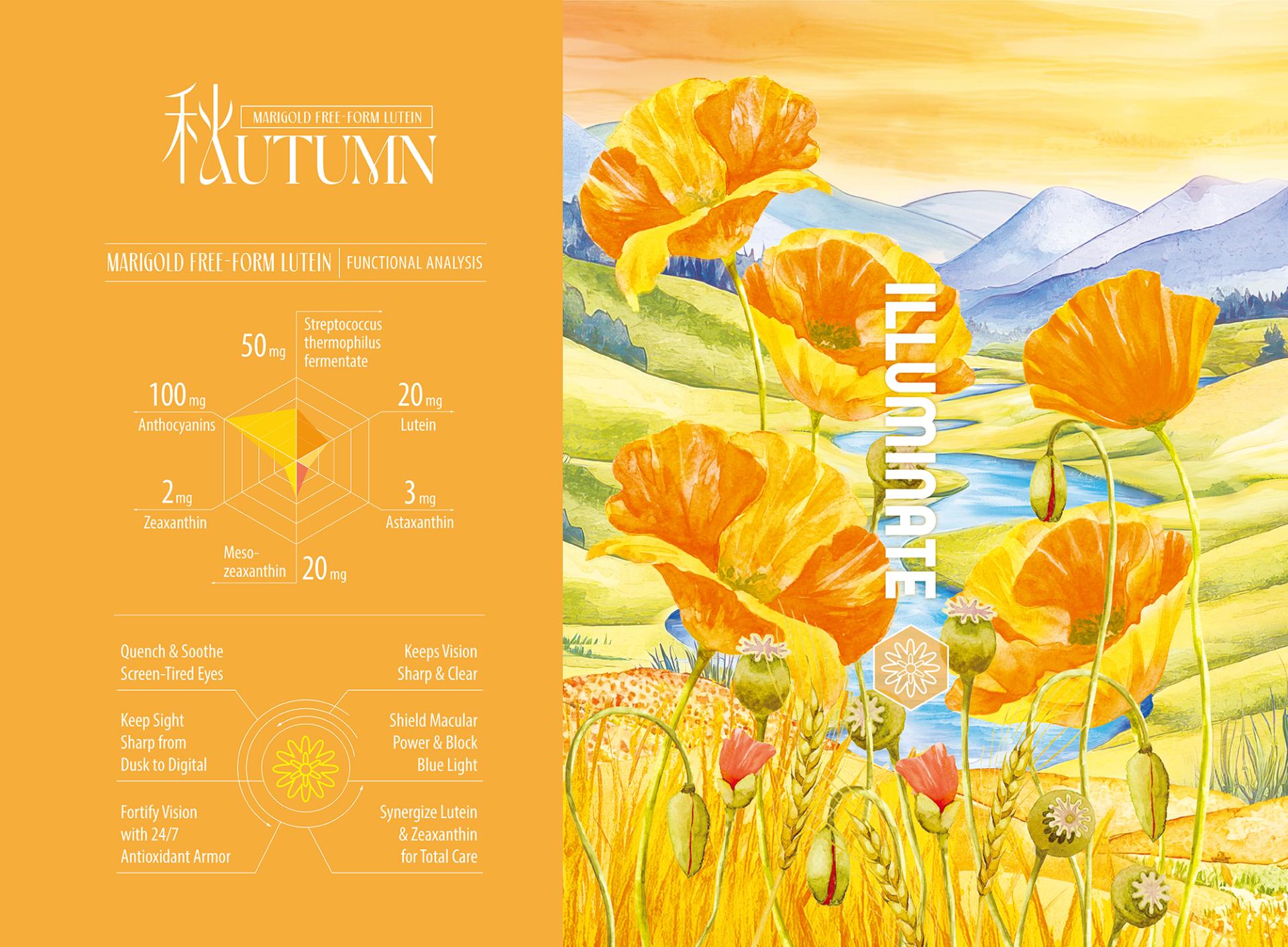 TITAN Health Awards Winner - Seasonal Resonance 9