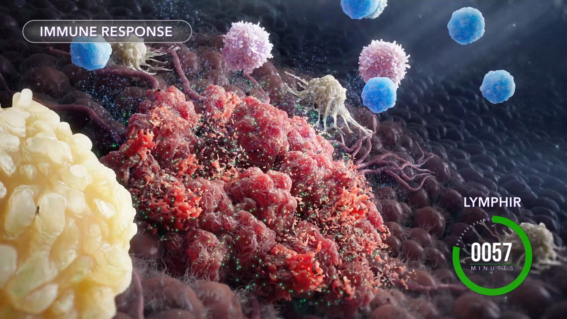 TITAN Health Awards Winner - Targeting CTCL with Precision - The Power of IL2 Receptor Therapy 6
