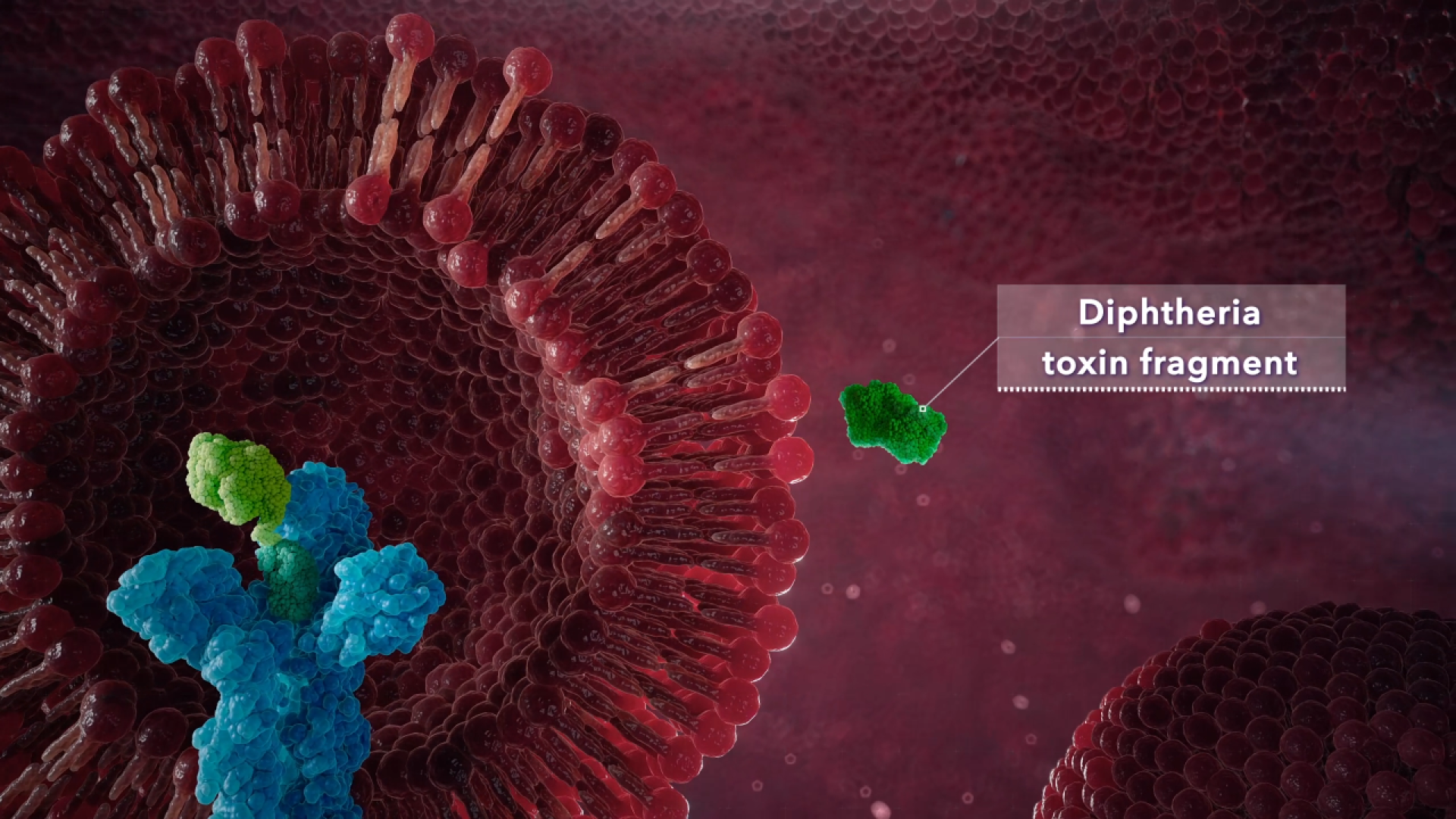 TITAN Health Awards Winner - Targeting CTCL with Precision - The Power of IL2 Receptor Therapy 3