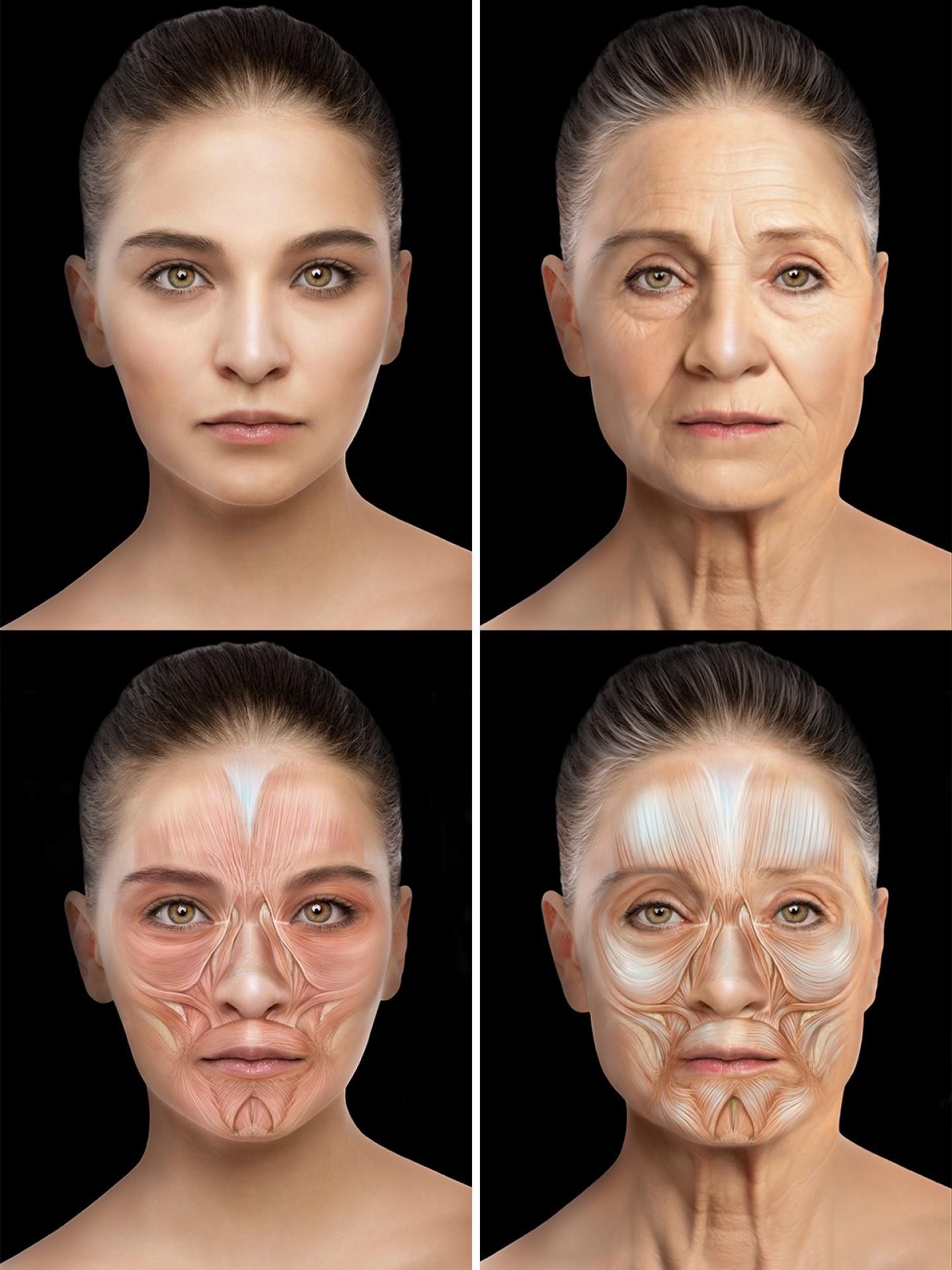 TITAN Health Awards Winner - Evolus Academy Aesthetics Education on Facial Anatomy 1