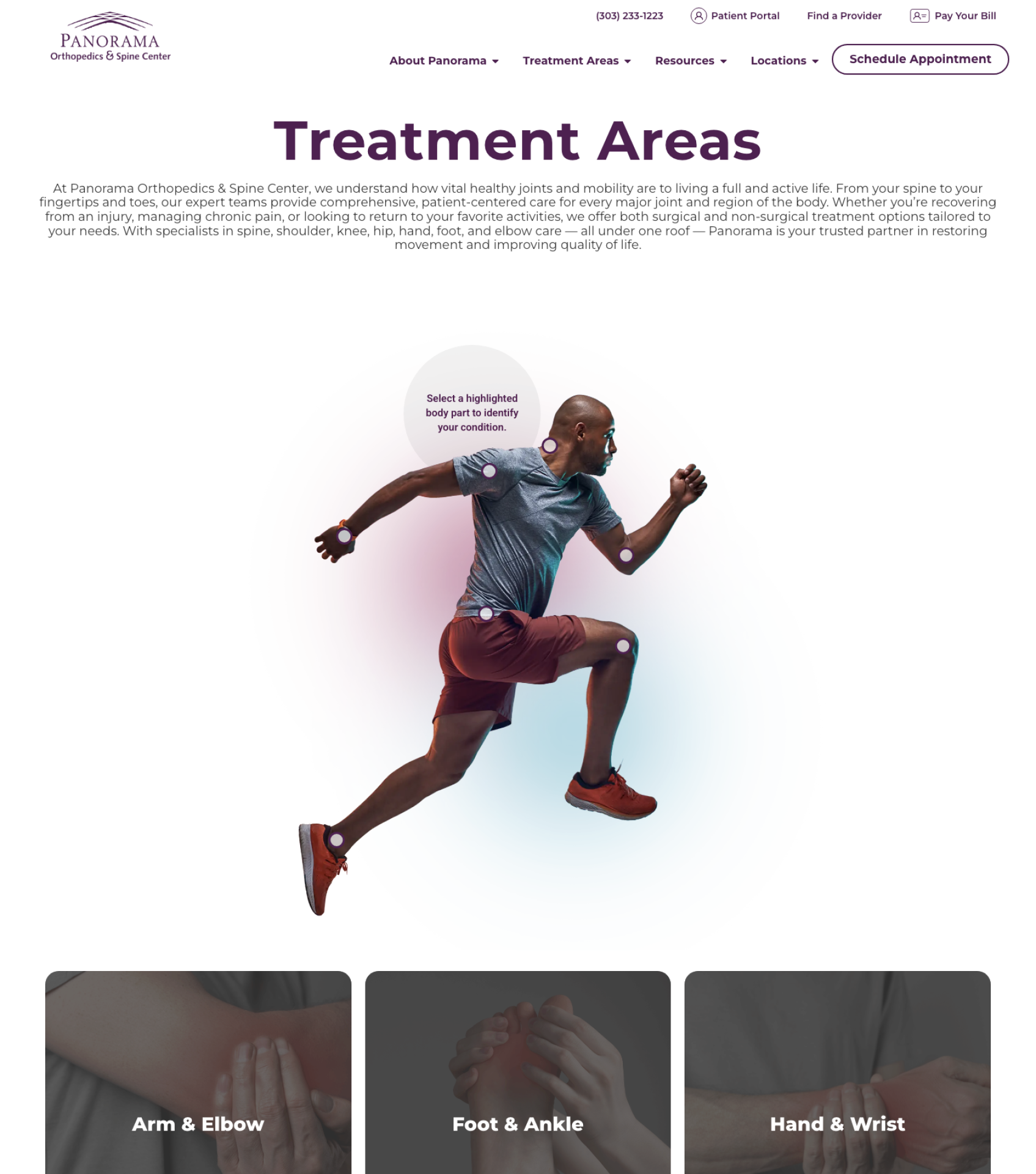 TITAN Health Awards Winner - Panorama Orthopedics Web Development 3