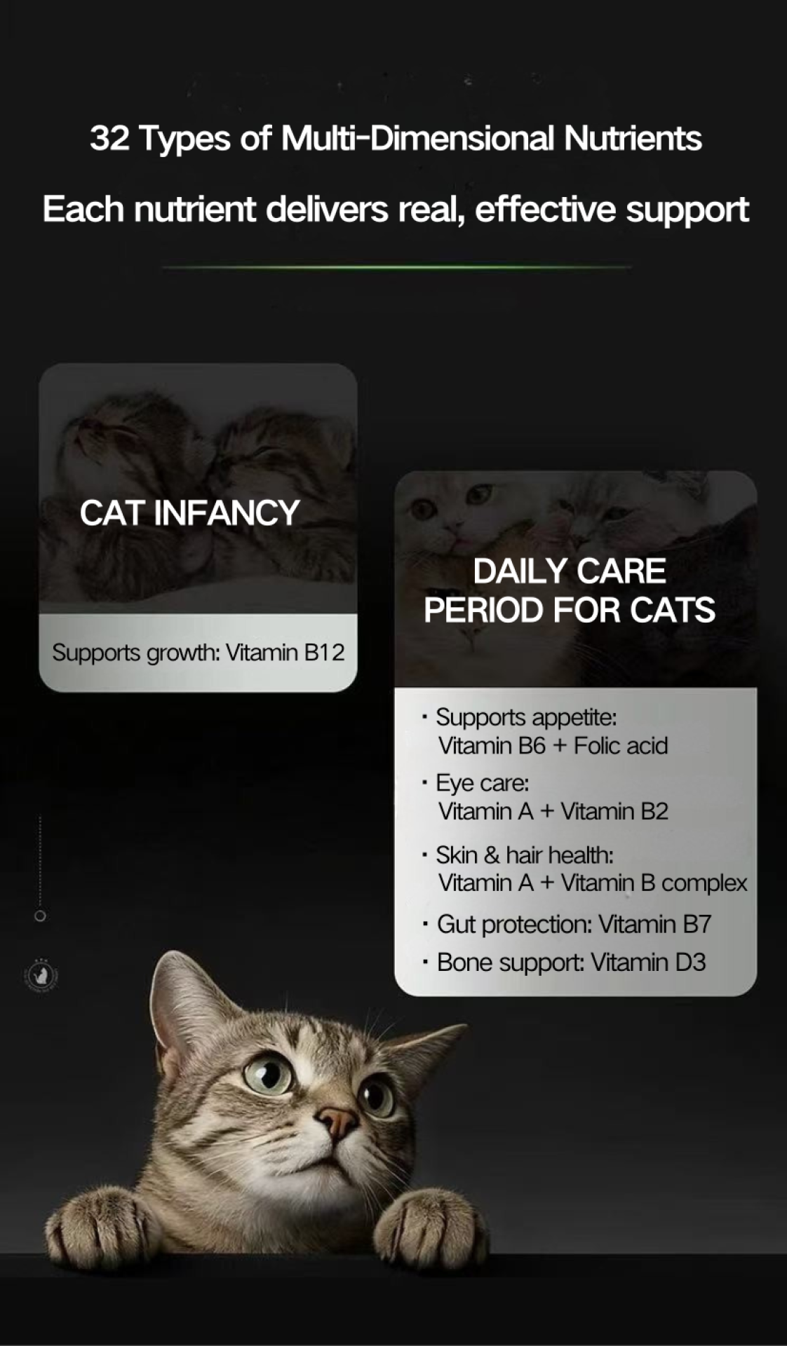 TITAN Health Awards Winner - MICKEY’S CYCLONE Pet Multivitamin Supplement 9