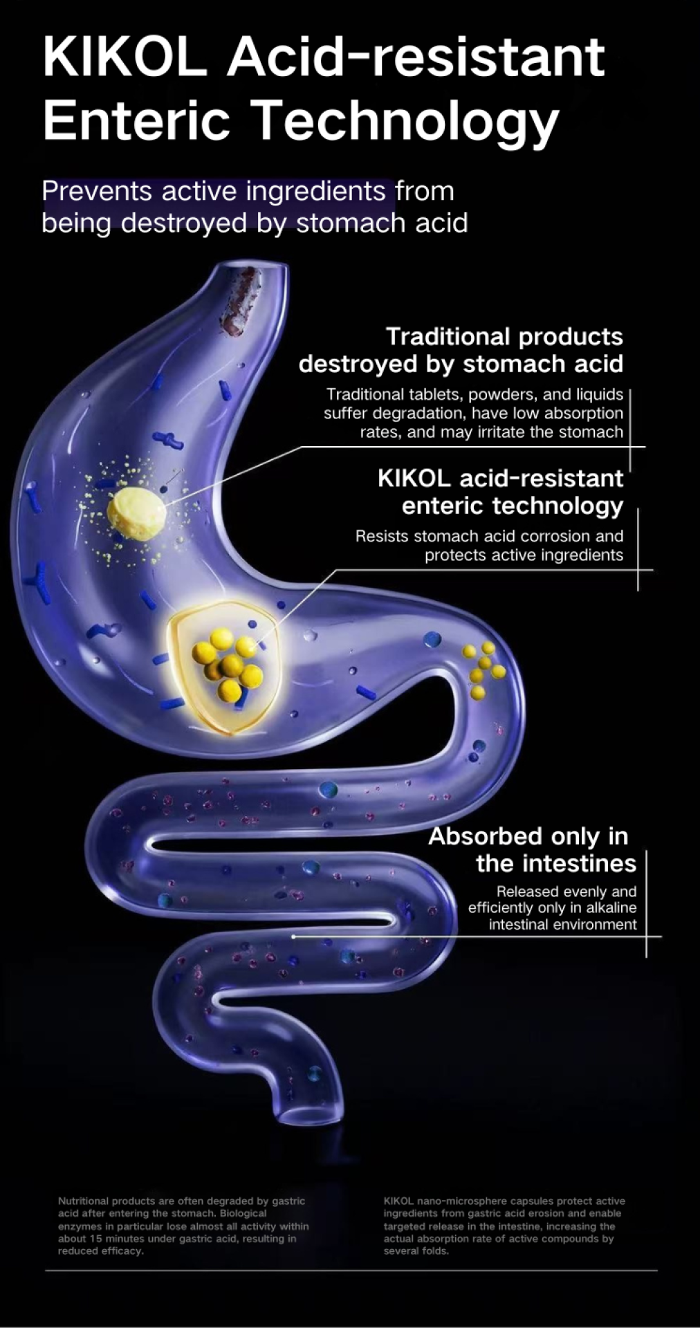 TITAN Health Awards Winner - KiKOl German Deep Sea Fish Oil for Pets 9