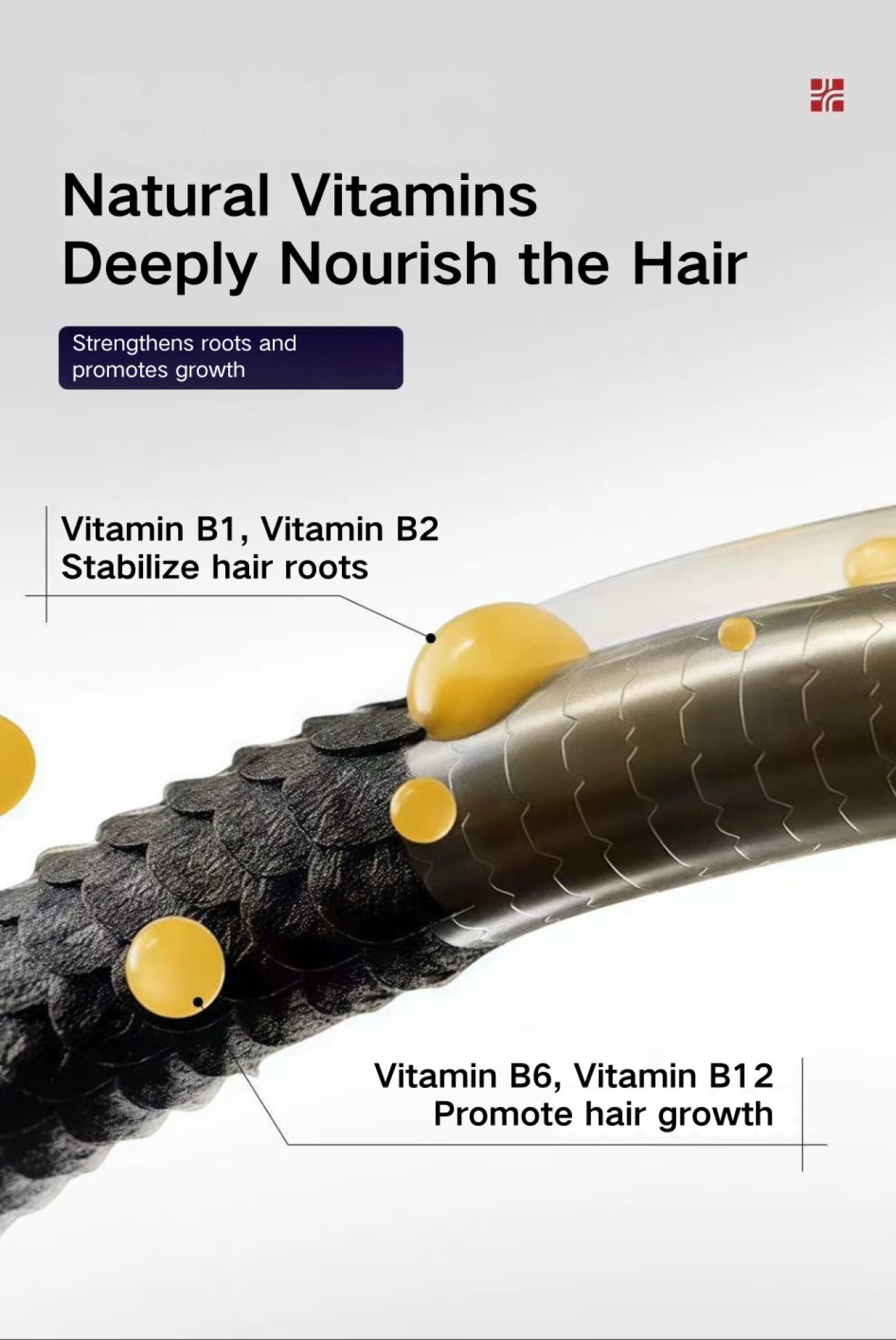 TITAN Health Awards Winner - KiKOl German Deep Sea Fish Oil for Pets 6