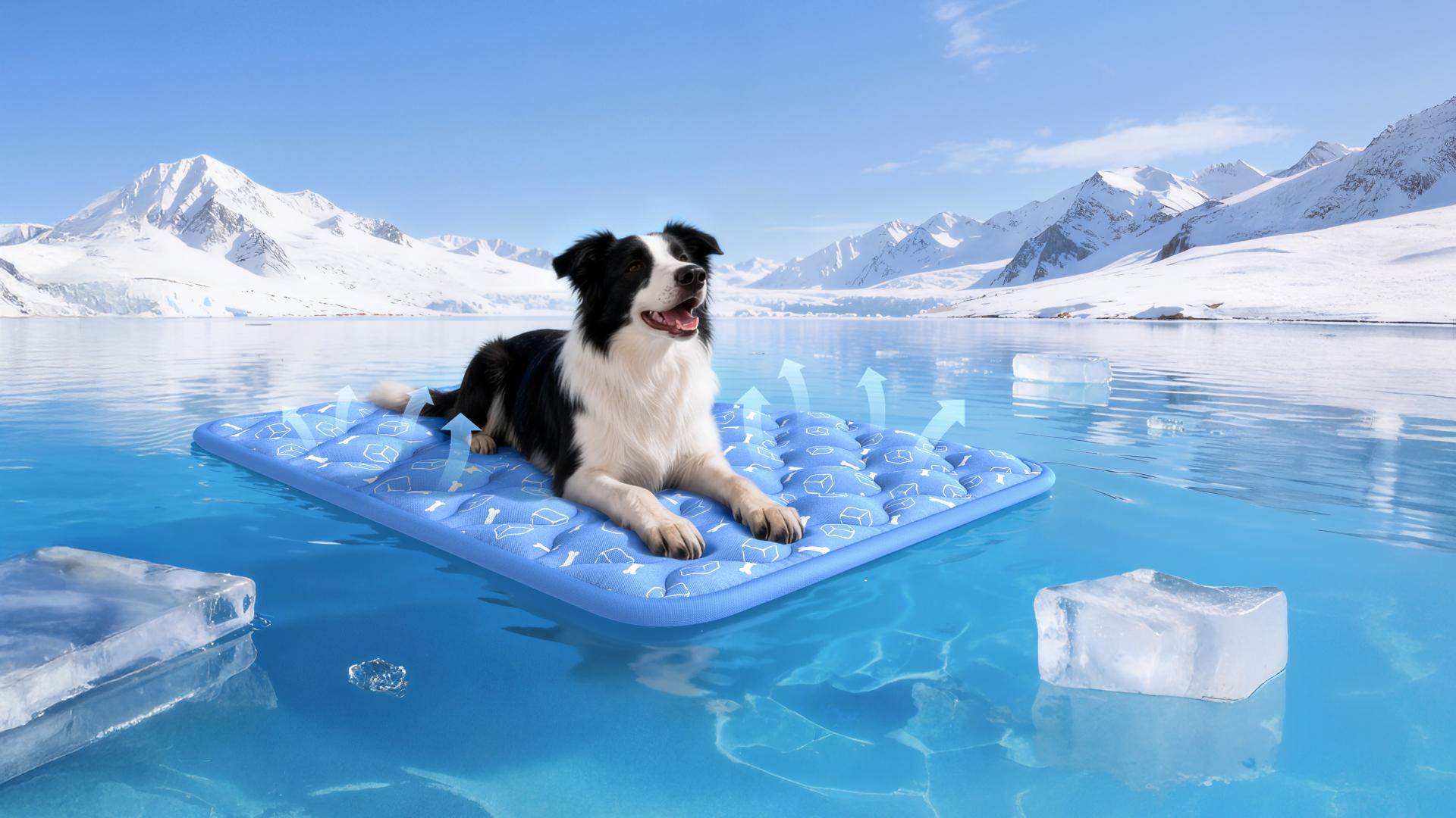 TITAN Health Awards Winner - Rywell Arc-Chill Thermal-Adaptive Pet Cooling Mat 2