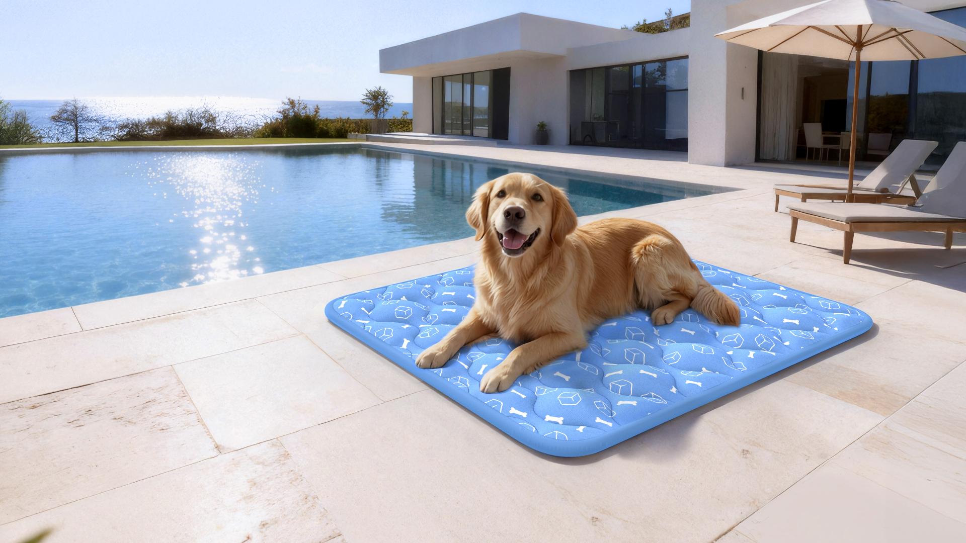TITAN Health Awards Winner - Rywell Arc-Chill Thermal-Adaptive Pet Cooling Mat 6