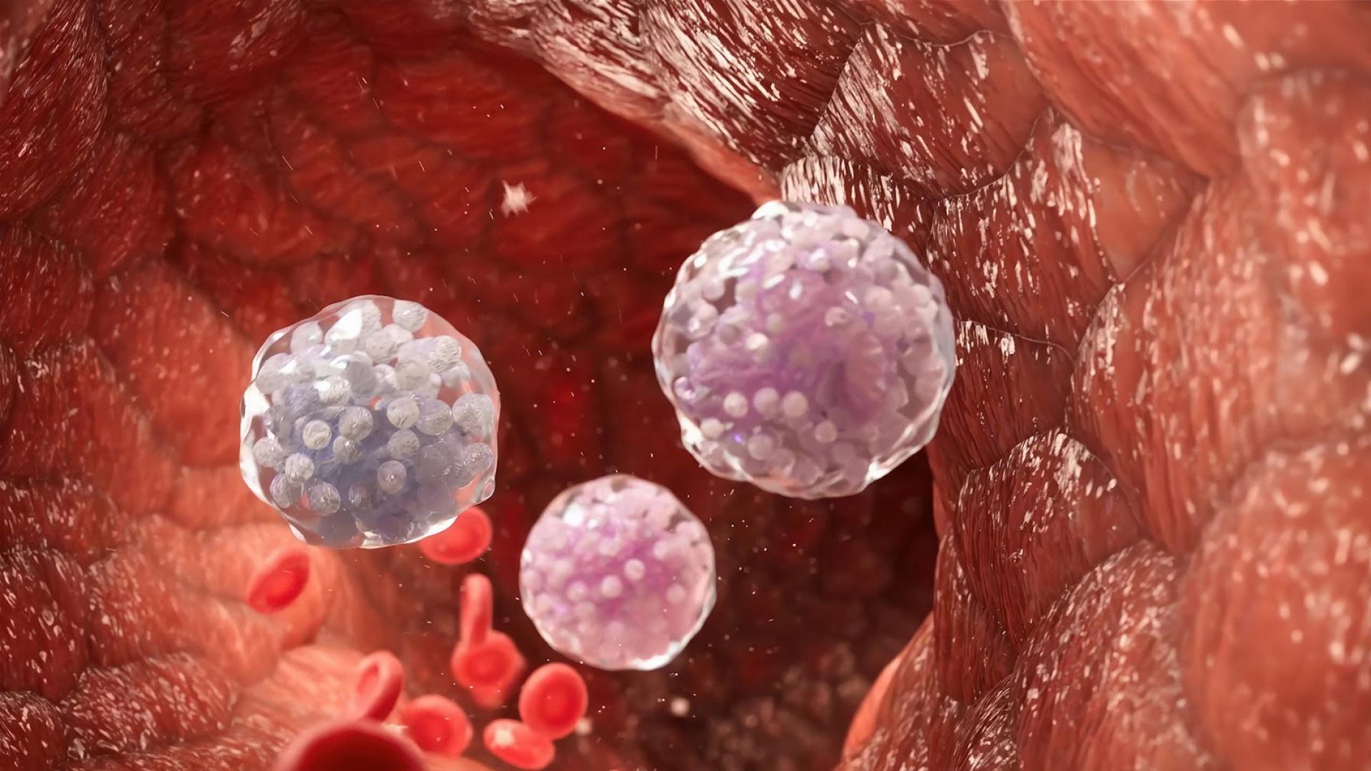 TITAN Health Awards Winner - Inside Immune System: Granulocytopoiesis Explained in 3D 1