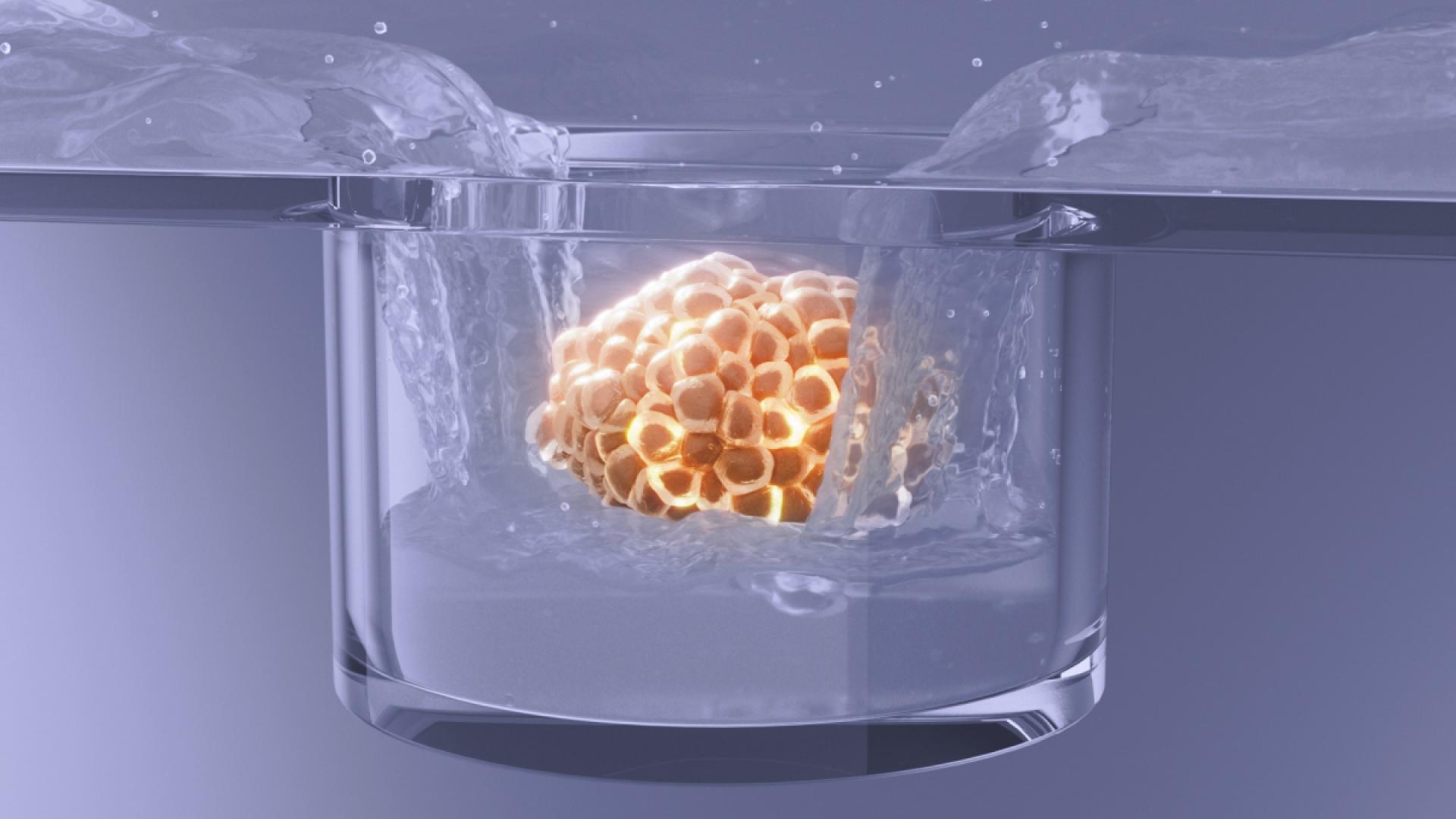 TITAN Health Awards Winner - Product Launch 3D Video for Chiron - Changing the way the world does cell culture 4