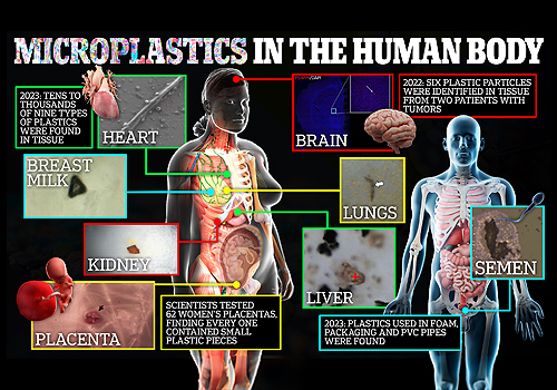 Awareness of the microplastics, Healthcare Awards Winner