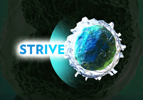 The STRIVE community-of-care initiative, Healthcare Awards Winner