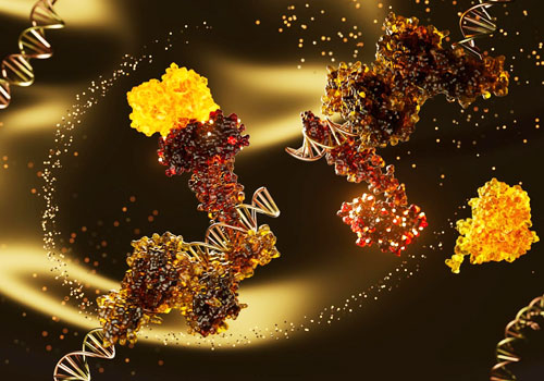 New Frontiers of Skin Science, Healthcare Awards Winner
