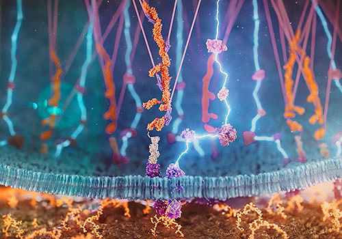 TITAN Health Awards Winner -  Bone Regeneration Animation By Random42 Scientific Communication
