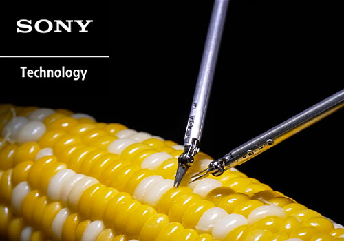 TITAN Health Awards Winner -  Microsurgery Assistance Robot Stitching a Corn Kernel | Sony Group By Sony PCL Inc.