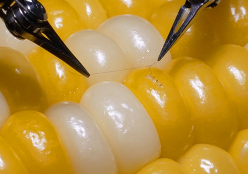 2025 Video, Commercial & Film of the Year - Microsurgery Assistance Robot Stitching a Corn Kernel | Sony Group