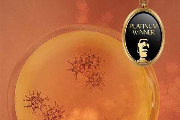 TITAN Health Awards News: Sensu is honored to be named as a Platinum Winner at the TITAN Health Awards!